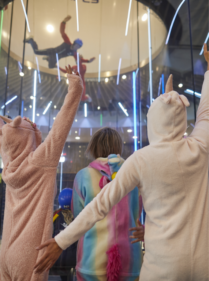 iFLY LYON